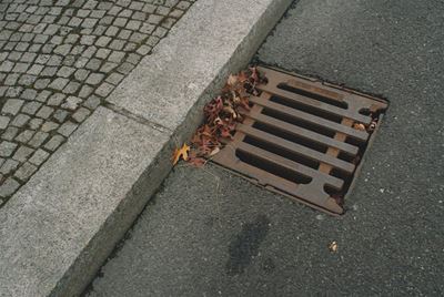 FOCUS ON: Don’t drop it down the drain