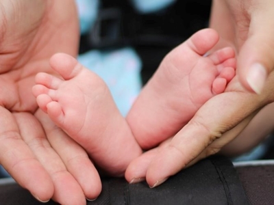 Social Development is investigating charity
