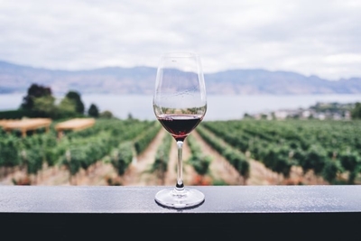 Wine industry ‘grateful’ over unchanged trading hours
