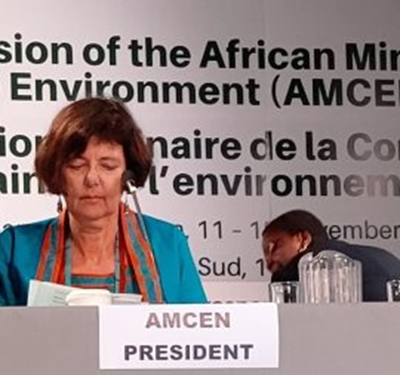 Online African COVID-19 green stimulus programme launched