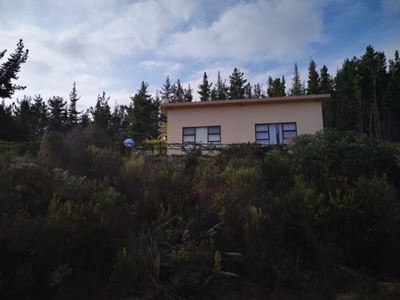 Groot Brak vrou sterk aan na aanval