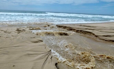 Safety warning issued after sharks, crocs spotted at a St Lucia beach