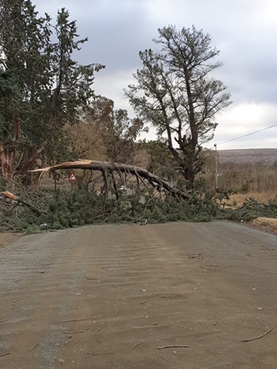 Wind wreaks havoc