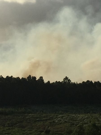 Heatherlands fire under control