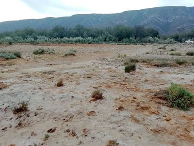 Farmers’ resilience ‘being tested’