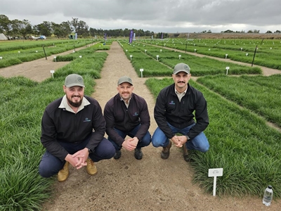 AgroFors stel opwindende saad- variëteite bekend in Oubaai