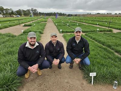 AgroFors stel opwindende saad- variëteite bekend in Oubaai