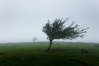 Strong winds ahead