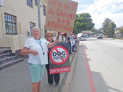 Protesters picket for animal rights