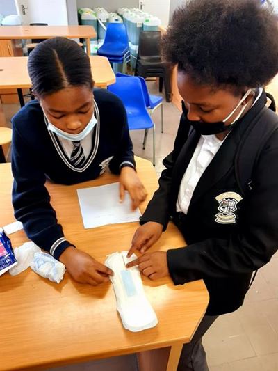 Gold and bronze for young scientists 
