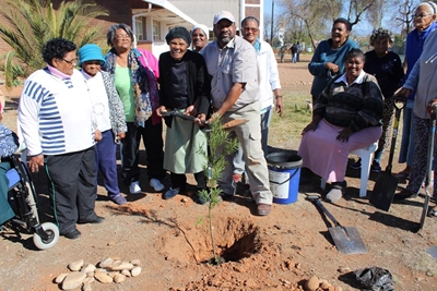 Cape Nature plant bome vir Goue Swane