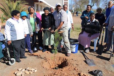 Cape Nature plant bome vir Goue Swane