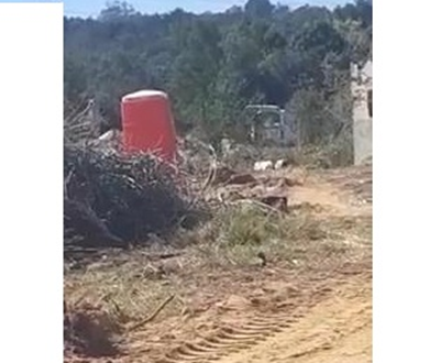 Dumping of dead dogs