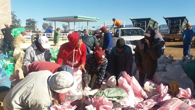 Farmers get discounted feed mealies