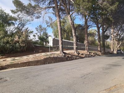 Skeletal remains found