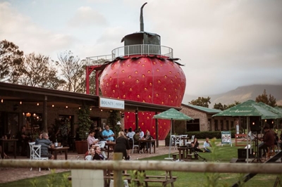 Bounty Eatery - Sophisticated simplicity, rooted in real flavour