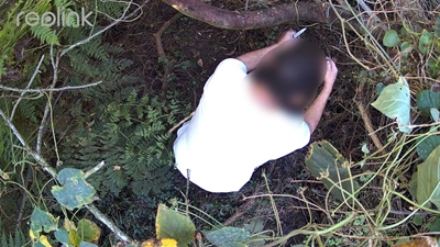 Suspected poacher caught in Denneoord