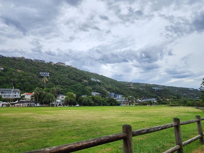 Wilderness Common: concerns over removal of restriction 