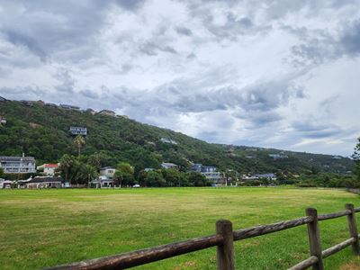 Wilderness Common: concerns over removal of restriction 