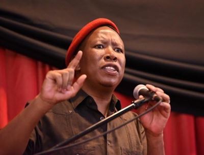 Malema sides with Duarte for putting journalist in ‘miserable little DA corner’