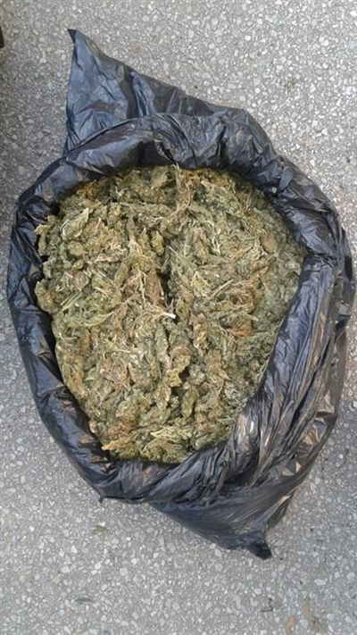 Huge drug busts at toll gate