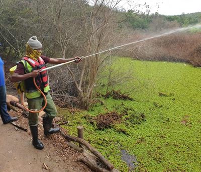 Concern over glyphosate use in G Route Dam