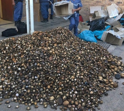 Polisie konfiskeer 1,4 ton perlemoen