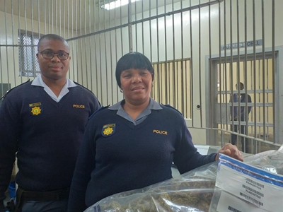 Geswindt duik man met dagga plat