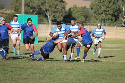 Blou poue gee Mosselbaai opdraende