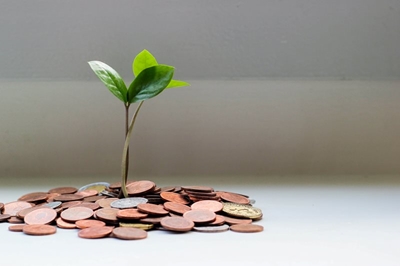 Three steps to financial independence