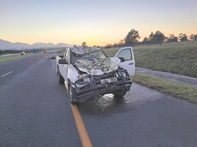 Rising concern over livestock on N2