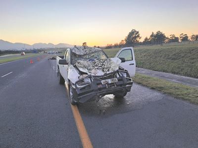 Rising concern over livestock on N2
