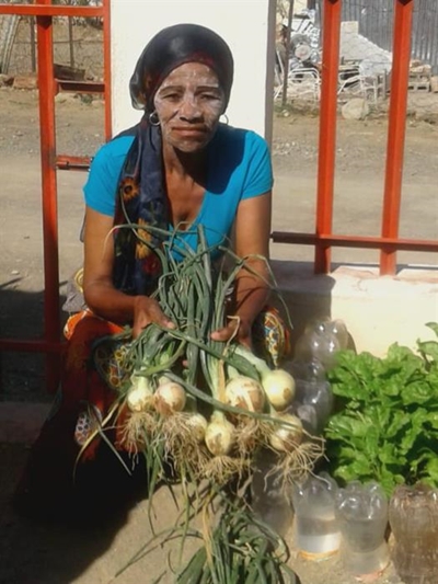 Grannies go green
