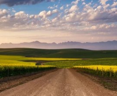 Sectoral Emission Targets Framework approved