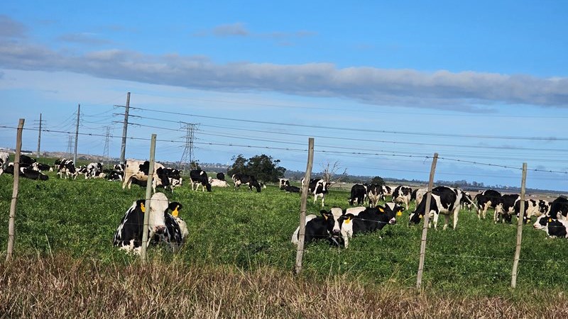 Mixed response to national FMD vaccinations