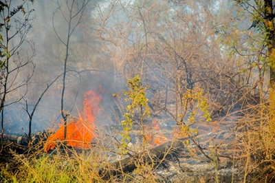 Veld fire warning