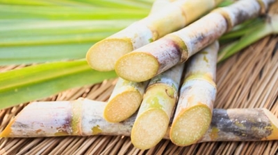 ‘Sin tax’ for sugar will cause job losses – SASA