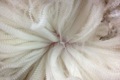 Fine wool market softer