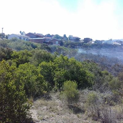 Update: Great Brak River fire