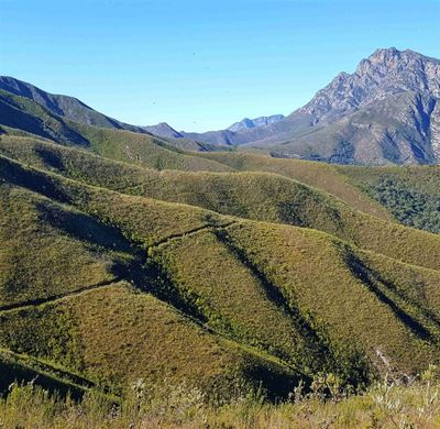 Fires fail to kill spirit of adventure