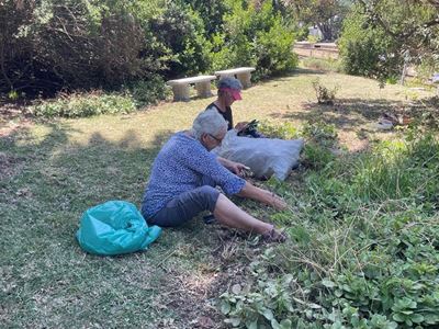 Groot Brak stasietuine tot vorige glorie herstel