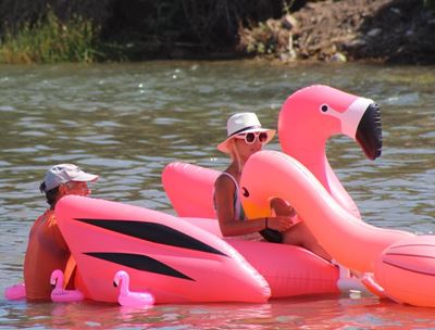 Enigiets wat dryf in Stilbaai