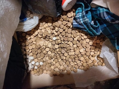 Drugs worth half a million rand seized in Pacaltsdorp