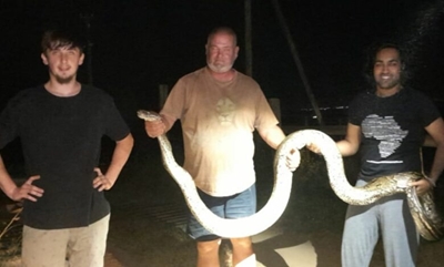 Pietermaritzburg heat drives snakes into hiding, until a 3.9m python strikes