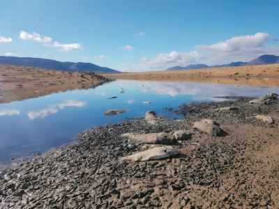 Council approves request for drought disaster declaration