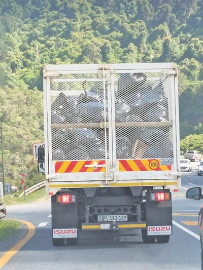 Refuse removal during the festive season