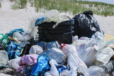 Black bags can be dropped at Transfer Station