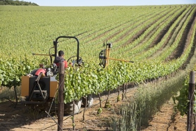 Technology eases farming ‘drudgery’ and risk as climate threat grow