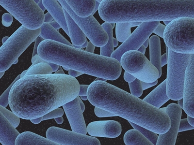 2 Listeriosis deaths in Eden district
