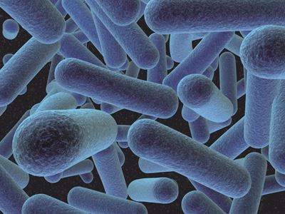 2 Listeriosis deaths in Eden district